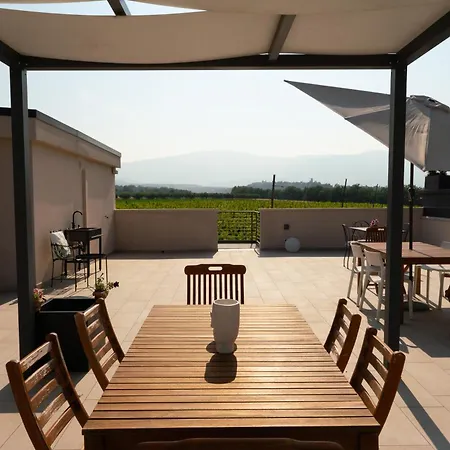 Tenuta Tre Gemme In Cantina - Don Rocco