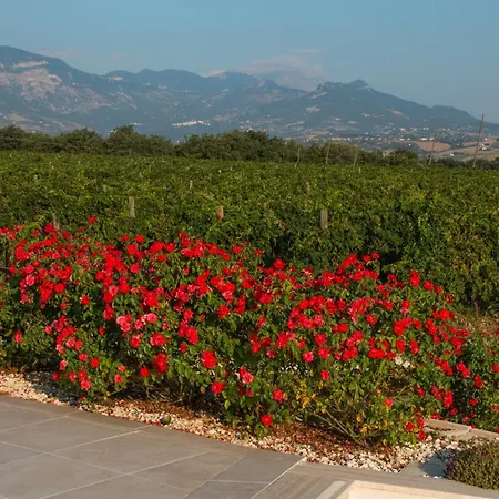 Farm stay Tenuta Tre Gemme In Cantina - Don Rocco
