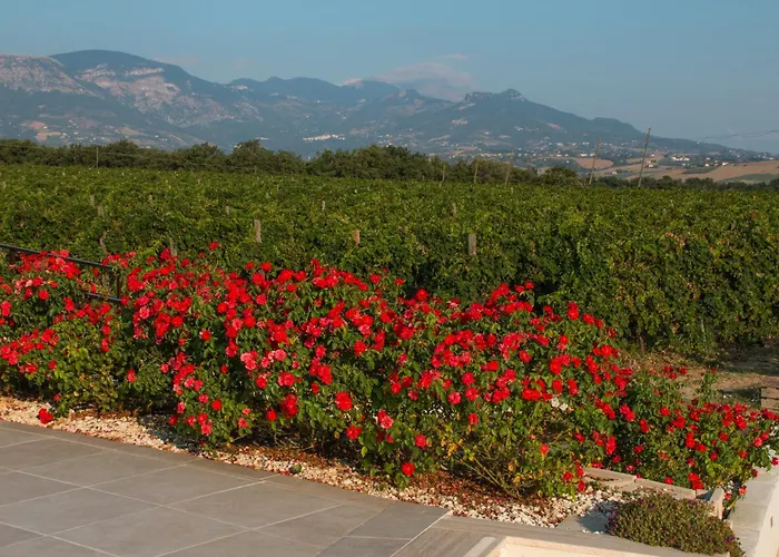 Κατάλυμα σε φάρμα Tenuta Tre Gemme In Cantina - Don Rocco